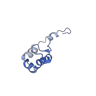 0146_6h67_J_v1-2
Yeast RNA polymerase I elongation complex stalled by cyclobutane pyrimidine dimer (CPD)