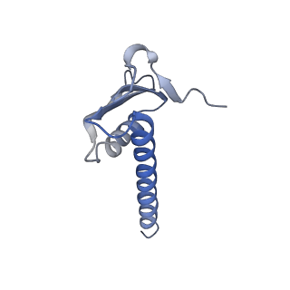 0146_6h67_K_v1-2
Yeast RNA polymerase I elongation complex stalled by cyclobutane pyrimidine dimer (CPD)