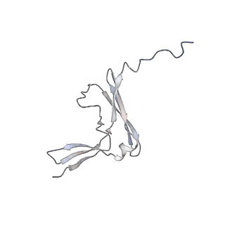 0146_6h67_M_v1-2
Yeast RNA polymerase I elongation complex stalled by cyclobutane pyrimidine dimer (CPD)