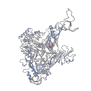 0147_6h68_B_v1-2
Yeast RNA polymerase I elongation complex stalled by cyclobutane pyrimidine dimer (CPD) with fully-ordered A49