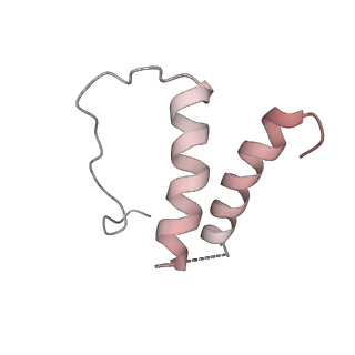 0147_6h68_D_v1-2
Yeast RNA polymerase I elongation complex stalled by cyclobutane pyrimidine dimer (CPD) with fully-ordered A49