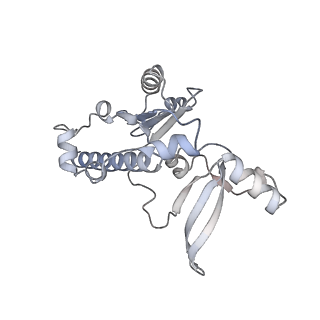 0147_6h68_E_v1-2
Yeast RNA polymerase I elongation complex stalled by cyclobutane pyrimidine dimer (CPD) with fully-ordered A49