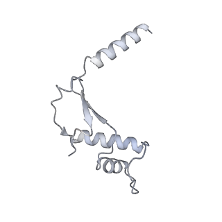 0147_6h68_F_v1-2
Yeast RNA polymerase I elongation complex stalled by cyclobutane pyrimidine dimer (CPD) with fully-ordered A49