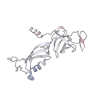 0147_6h68_G_v1-2
Yeast RNA polymerase I elongation complex stalled by cyclobutane pyrimidine dimer (CPD) with fully-ordered A49