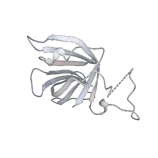 0147_6h68_H_v1-2
Yeast RNA polymerase I elongation complex stalled by cyclobutane pyrimidine dimer (CPD) with fully-ordered A49