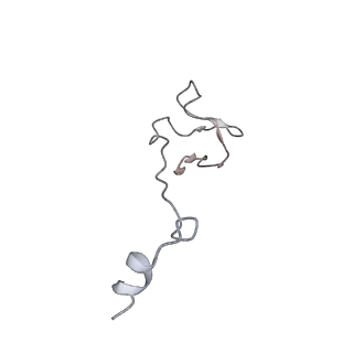0147_6h68_I_v1-2
Yeast RNA polymerase I elongation complex stalled by cyclobutane pyrimidine dimer (CPD) with fully-ordered A49