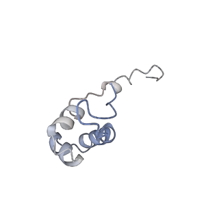 0147_6h68_J_v1-2
Yeast RNA polymerase I elongation complex stalled by cyclobutane pyrimidine dimer (CPD) with fully-ordered A49
