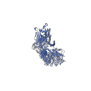 0149_6h6e_A_v1-1
PTC3 holotoxin complex from Photorhabdus luminecens in prepore state (TcdA1, TcdB2, TccC3)