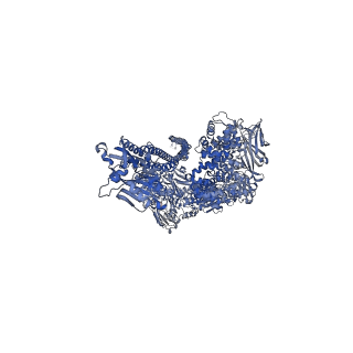 0149_6h6e_B_v1-1
PTC3 holotoxin complex from Photorhabdus luminecens in prepore state (TcdA1, TcdB2, TccC3)