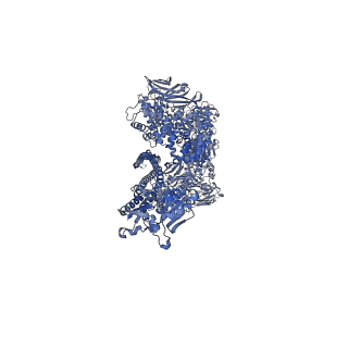 0149_6h6e_C_v1-1
PTC3 holotoxin complex from Photorhabdus luminecens in prepore state (TcdA1, TcdB2, TccC3)