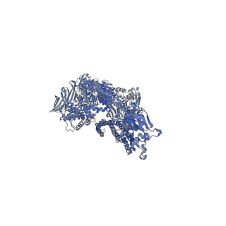0149_6h6e_D_v1-1
PTC3 holotoxin complex from Photorhabdus luminecens in prepore state (TcdA1, TcdB2, TccC3)