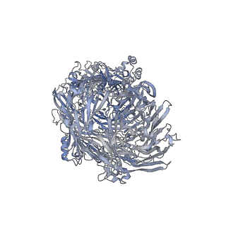 0149_6h6e_F_v1-1
PTC3 holotoxin complex from Photorhabdus luminecens in prepore state (TcdA1, TcdB2, TccC3)