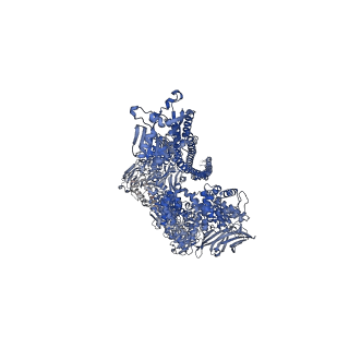 0150_6h6f_A_v1-1
PTC3 holotoxin complex from Photorhabdus luminiscens - Mutant TcC-D651A