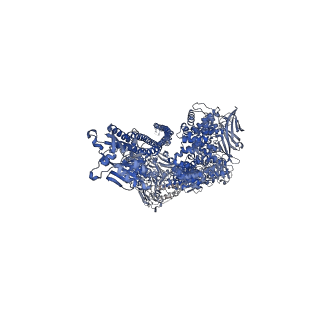 0150_6h6f_B_v1-1
PTC3 holotoxin complex from Photorhabdus luminiscens - Mutant TcC-D651A