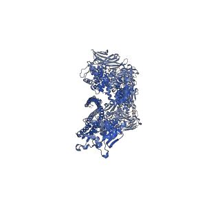0150_6h6f_C_v1-1
PTC3 holotoxin complex from Photorhabdus luminiscens - Mutant TcC-D651A