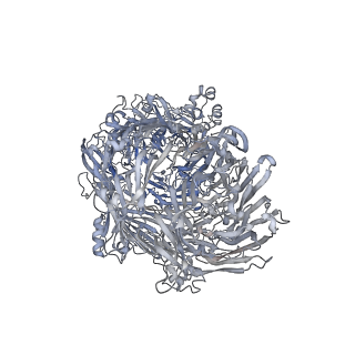 0150_6h6f_F_v1-1
PTC3 holotoxin complex from Photorhabdus luminiscens - Mutant TcC-D651A