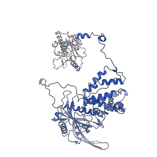 34497_8h69_A_v1-3
Cryo-EM structure of influenza RNA polymerase