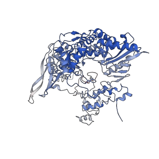 34497_8h69_B_v1-3
Cryo-EM structure of influenza RNA polymerase