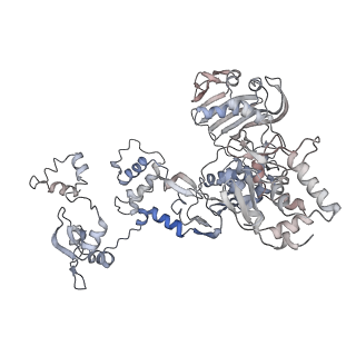 34497_8h69_C_v1-3
Cryo-EM structure of influenza RNA polymerase