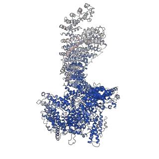 34520_8h7g_C_v1-0
Cryo-EM structure of the human SAGA complex