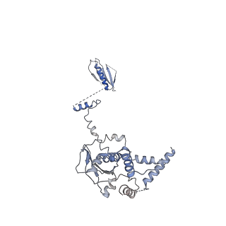 34520_8h7g_D_v1-0
Cryo-EM structure of the human SAGA complex