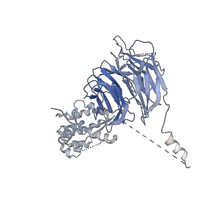 34520_8h7g_H_v1-0
Cryo-EM structure of the human SAGA complex