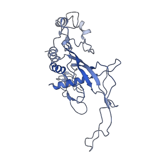 34524_8h7q_H_v1-0
Cryo-EM structure of Synechocystis sp. PCC6714 Cascade at 3.8 angstrom resolution