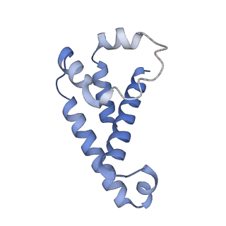 34524_8h7q_N_v1-0
Cryo-EM structure of Synechocystis sp. PCC6714 Cascade at 3.8 angstrom resolution
