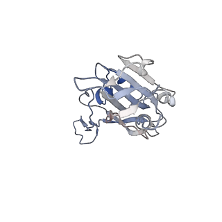 34526_8h7z_A_v1-0
Cryo-EM structure of SARS-CoV-2 BA.2 RBD in complex with BA7535 fab (local refinement)
