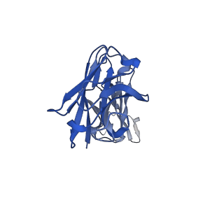 34526_8h7z_F_v1-0
Cryo-EM structure of SARS-CoV-2 BA.2 RBD in complex with BA7535 fab (local refinement)
