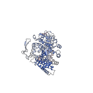 34551_8h8x_A_v1-1
Cryo-EM structure of HACE1 monomer
