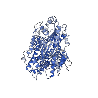 34554_8h94_A_v1-2
Structure of mouse SCMC bound with KH domain of FILIA