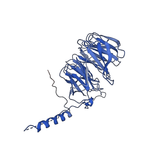 34554_8h94_B_v1-2
Structure of mouse SCMC bound with KH domain of FILIA
