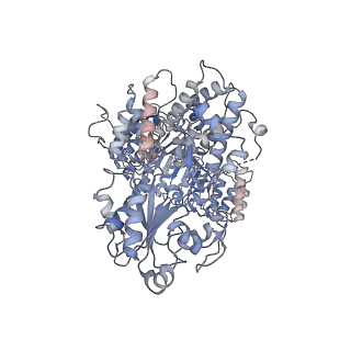34555_8h95_A_v1-2
Structure of mouse SCMC bound with full-length FILIA