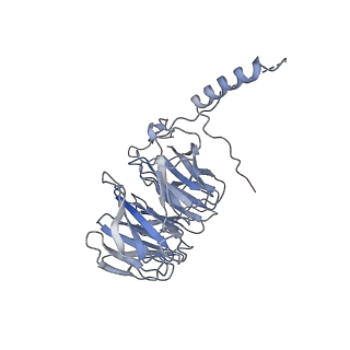34555_8h95_B_v1-2
Structure of mouse SCMC bound with full-length FILIA