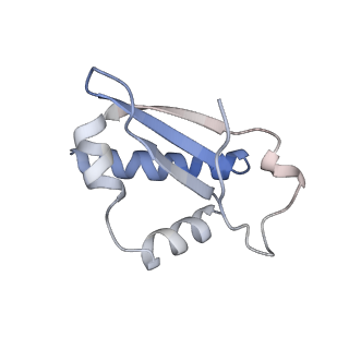 34555_8h95_C_v1-2
Structure of mouse SCMC bound with full-length FILIA