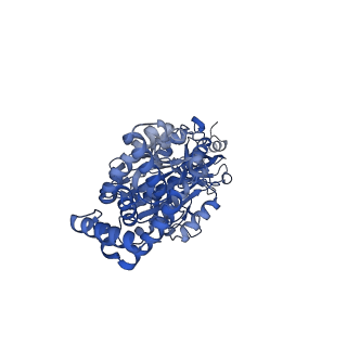 34564_8h9e_A_v1-2
Human ATP synthase F1 domain, state 1
