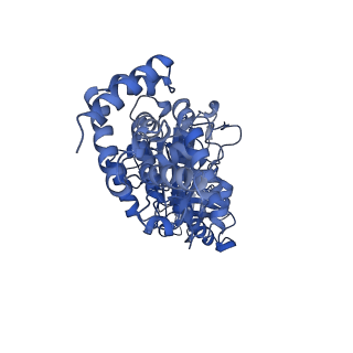 34564_8h9e_B_v1-2
Human ATP synthase F1 domain, state 1