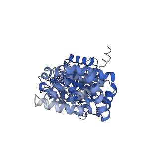 34564_8h9e_C_v1-2
Human ATP synthase F1 domain, state 1