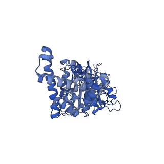 34564_8h9e_D_v1-2
Human ATP synthase F1 domain, state 1