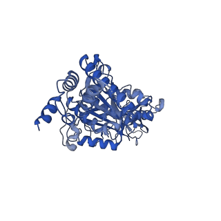 34564_8h9e_E_v1-2
Human ATP synthase F1 domain, state 1
