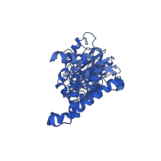 34564_8h9e_F_v1-2
Human ATP synthase F1 domain, state 1