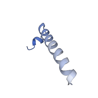 34564_8h9e_J_v1-2
Human ATP synthase F1 domain, state 1