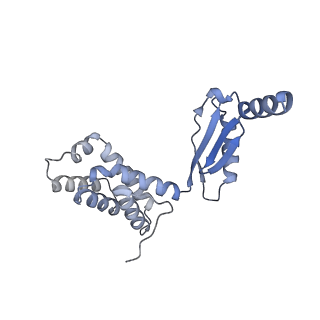 34564_8h9e_O_v1-2
Human ATP synthase F1 domain, state 1