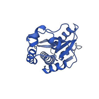 34565_8h9f_G_v1-0
Human ATP synthase state 1 subregion 3