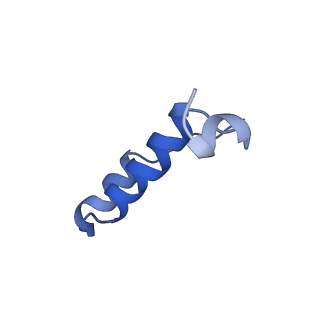 34565_8h9f_I_v1-0
Human ATP synthase state 1 subregion 3