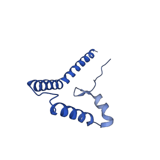 34565_8h9f_K_v1-0
Human ATP synthase state 1 subregion 3