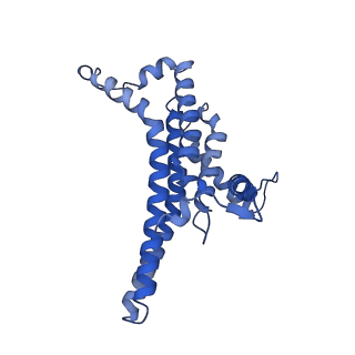 34565_8h9f_N_v1-0
Human ATP synthase state 1 subregion 3