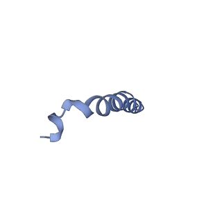 34565_8h9f_Q_v1-0
Human ATP synthase state 1 subregion 3
