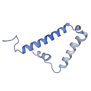 34565_8h9f_S_v1-0
Human ATP synthase state 1 subregion 3